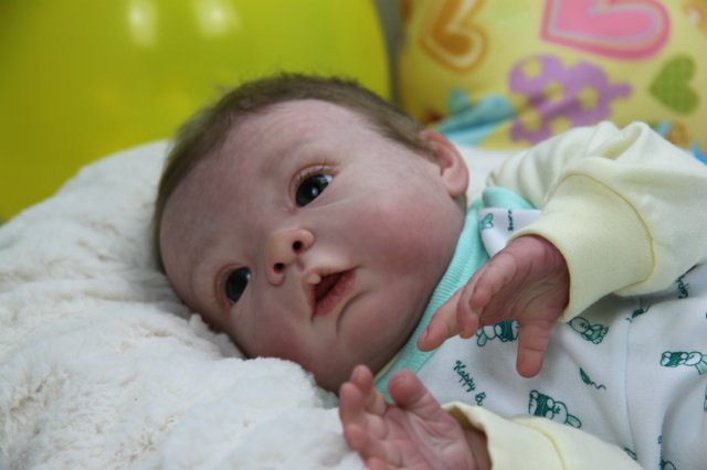 Софийкин! Кукленок реборн Виктории Вишни