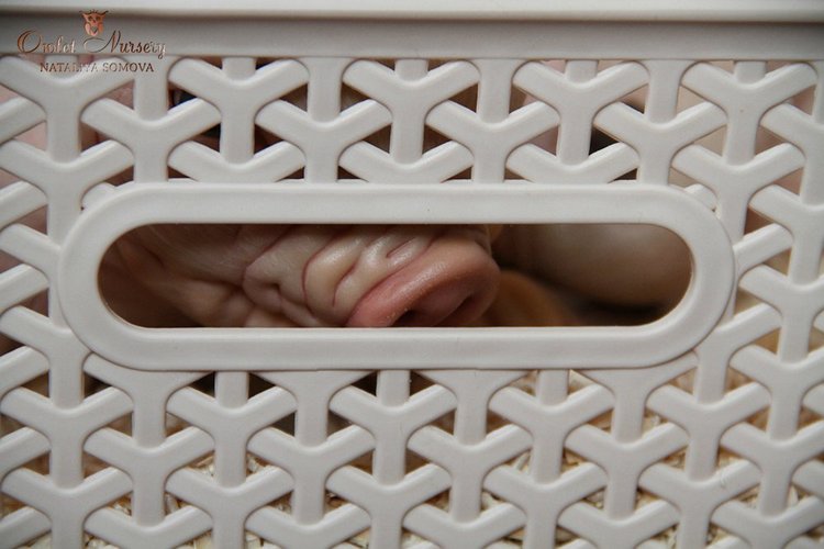 Свинка Пеппа и её младший братик Джордж. Поросята реборн Наталии Сомовой (фото 8)