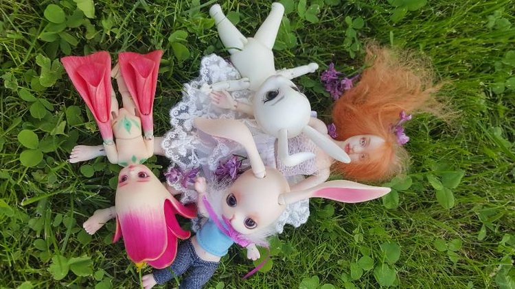 Катрина и волшебный лес-3 (фото 9)