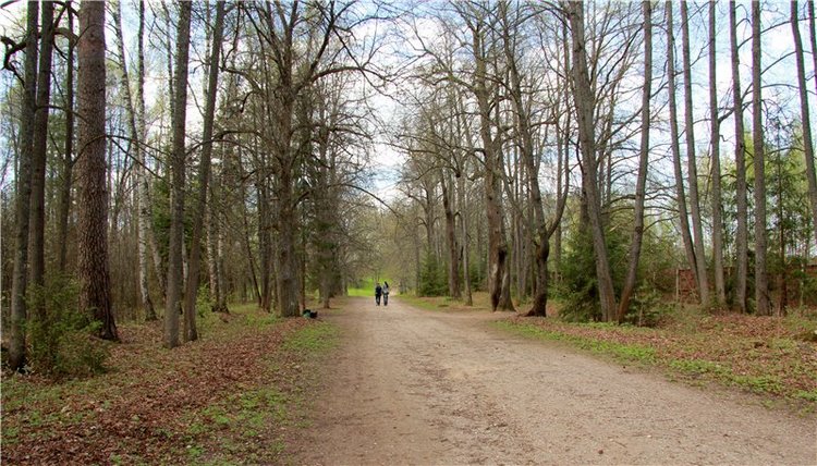Сказочное Василёво. Реплика антикварной куклы Bébé BRU JNE от автора Branka Schärli (фото 7)