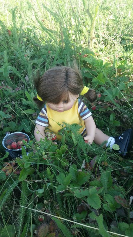 Земляничный день — Домашние коллекции кукол: фото собраний (фото 6)