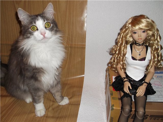 Я назвала её - Лёля! Куколки БЖД от Iplehouse | Бэйбики Я назвала её - Лёля! Куколки БЖД от Iplehouse (фото 5)