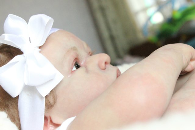 Принцесса Диана, куклы реборн Беспаловои Жанны