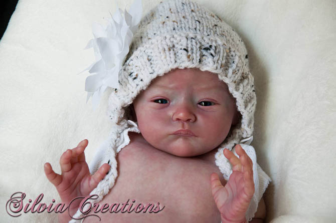 Новый молд Will от Натали Шолль