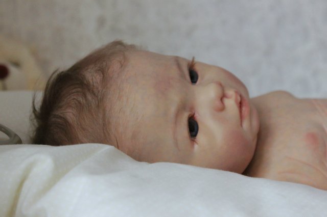 Мальчик - Медвежонок... Куколка реборн Виктории Вишни