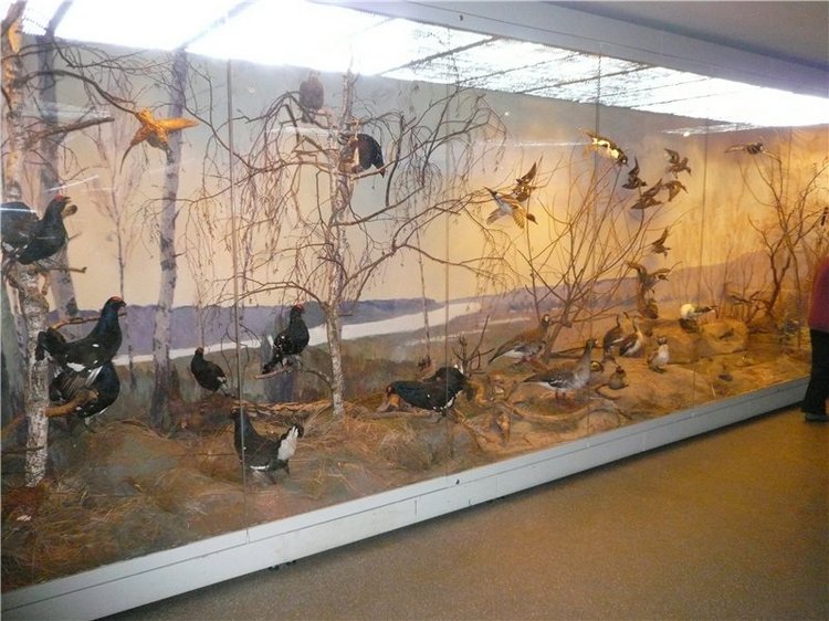 Давайте знакомиться! Мусенька - Realpuki Kaka Basic;)