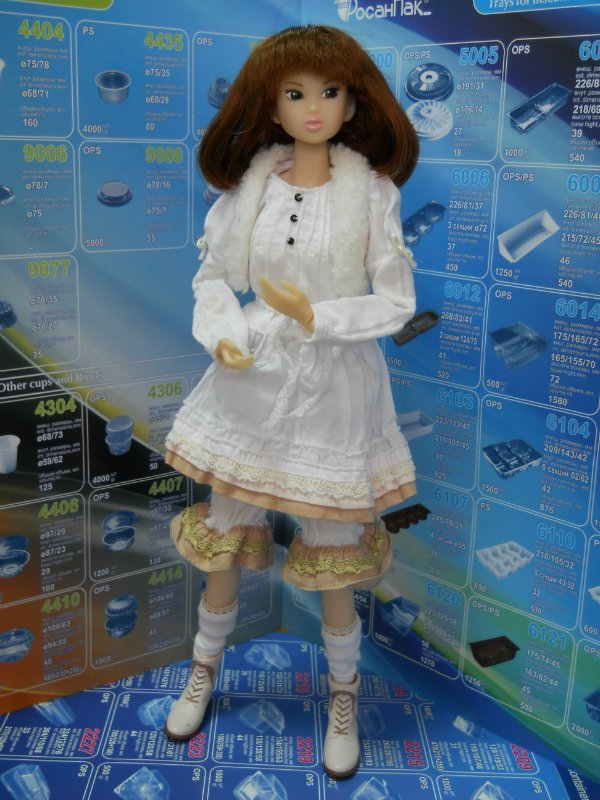 Моя коллекция кукол формата 1:6 (Барби, Кены, Динамитки, Момоко, J-Doll, Поппи Паркер и Монстры)