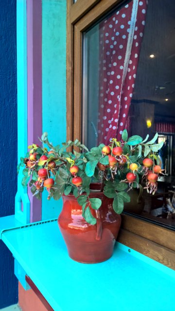 Сочи-парк, или, Русский Диснейленд. Часть 1 | Бэйбики Сочи-парк, или, Русский Диснейленд. Часть 1