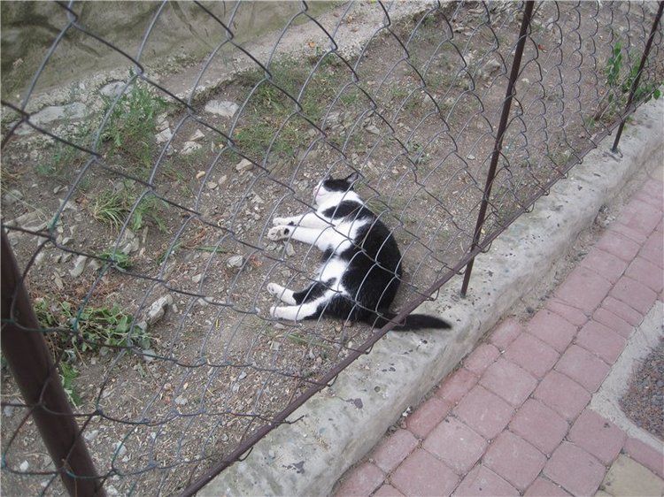 Галчонок и лето. Винтажна куколка СССР Галя