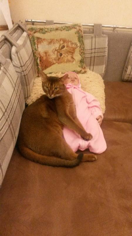 Наше участие в конкурсе Кукла и питомец | Бэйбики Наше участие в конкурсе Кукла и питомец (фото 8)