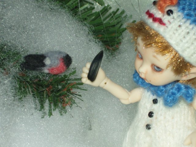 Зимние истории от Таниты. История 3 "Птички-невелички"