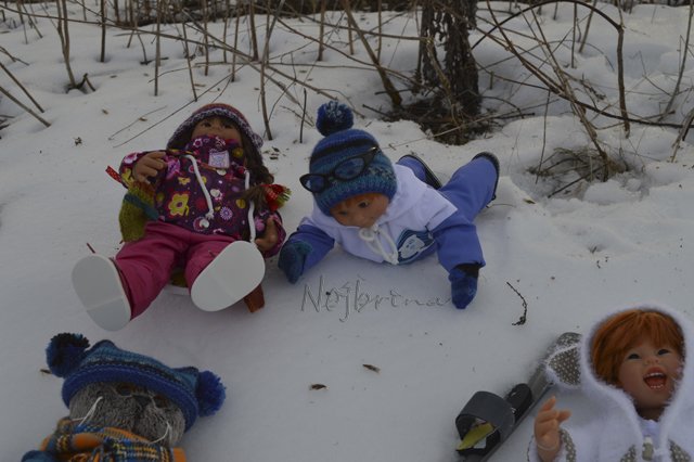 Двое в санках, не считая кота...Вихтели Rosemarie Anna Muller