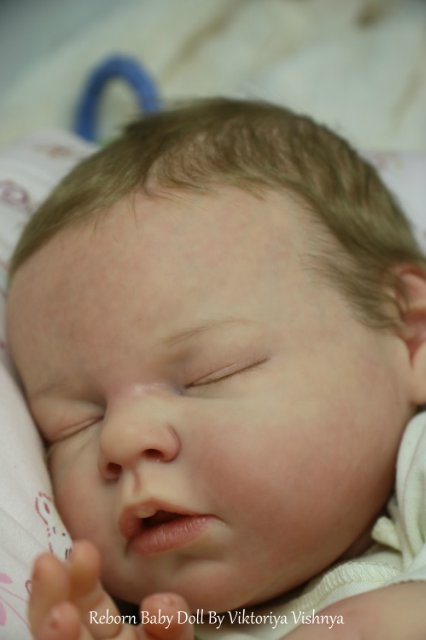 Близняшечки Ноа... Куколки реборн Виктории Вишни