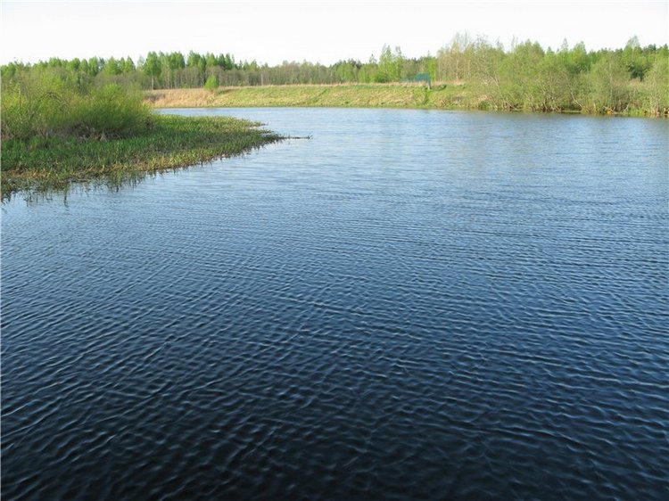 Прогулка с Райли. Riley от автора Helen Kish (фото 3)