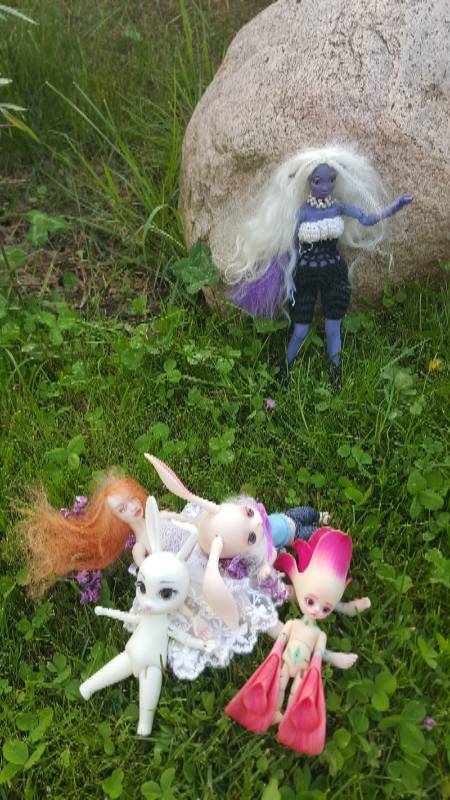 Катрина и волшебный лес-3 (фото 10)