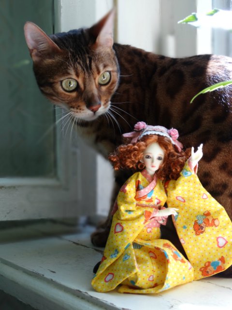 Метелька и её новый друг | Бэйбики Метелька и её новый друг — Куклы Souldoll (Соулдолл): BJD (БЖД)