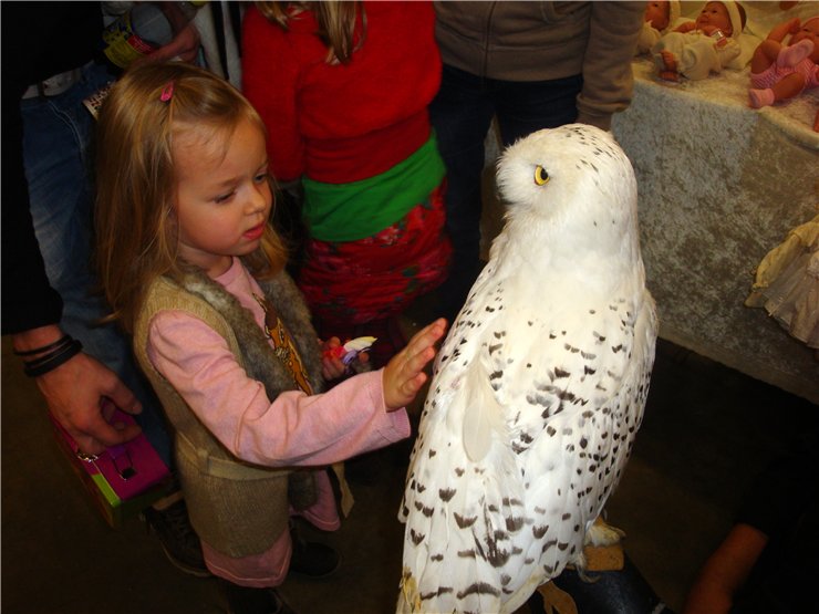 Международная выставка кукол в Ahoy Rotterdam (Нидерланды) 28-29 октября 2011 г. Часть вторая | Бэйбики Международная выставка кукол в Ahoy Rotterdam (Нидерланды) 28-29 октября 2011 г. Часть вторая