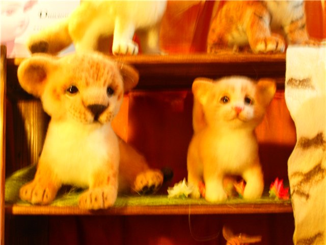 Выставка кукол в Санкт Петербурге | Бэйбики Выставка кукол в Санкт Петербурге