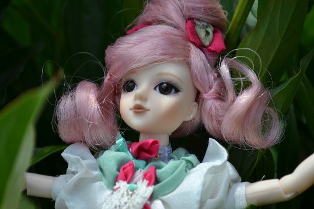 Девушка-пион: джеечка La Rue de Rivoli (J-doll) (фото 7)