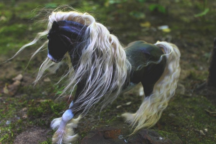 Жители моего дома — Авторские работы в частных коллекциях: домашние фото кукол и игрушек (фото 8)