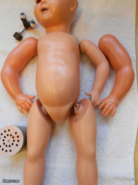 Реставрация Катеньки. SAS. Тортулон (фото 5)