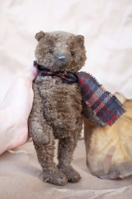 Старенький мишка Анис. Авторская игрушка Татьяны Матляк (фото 2)