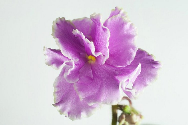 Еще немного о сумасшествии