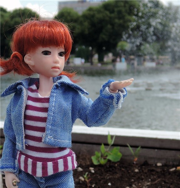 Женькина поездка — Куклы и тела Obitsu (Обитсу): 1/6