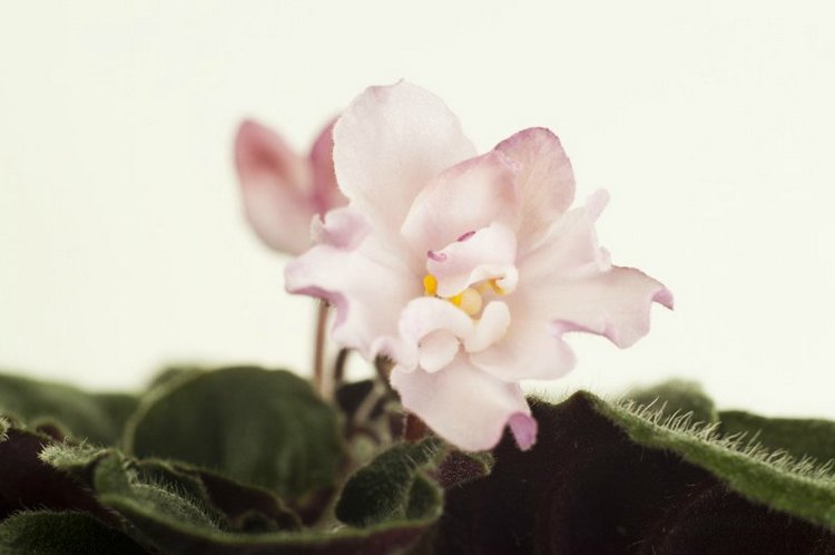 Еще немного о сумасшествии