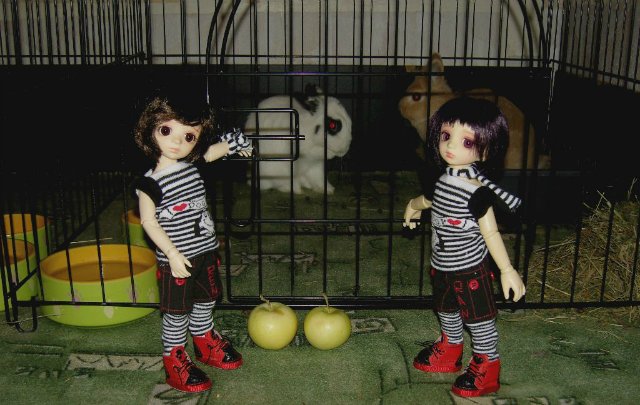 Юннаты - Рен и Ран — Куклы Dollzone (Доллзон): BJD (БЖД)