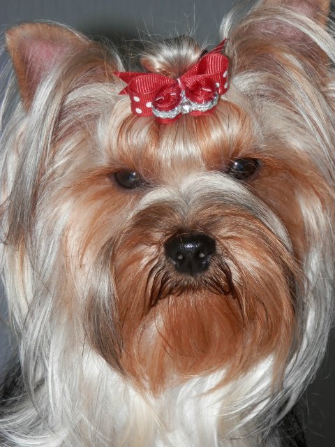 Гаечка, Болтик и немного Ноэль (фото 7)