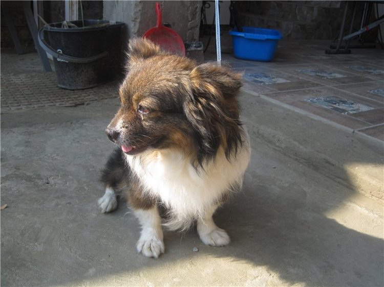 Галчонок и лето. Винтажна куколка СССР Галя