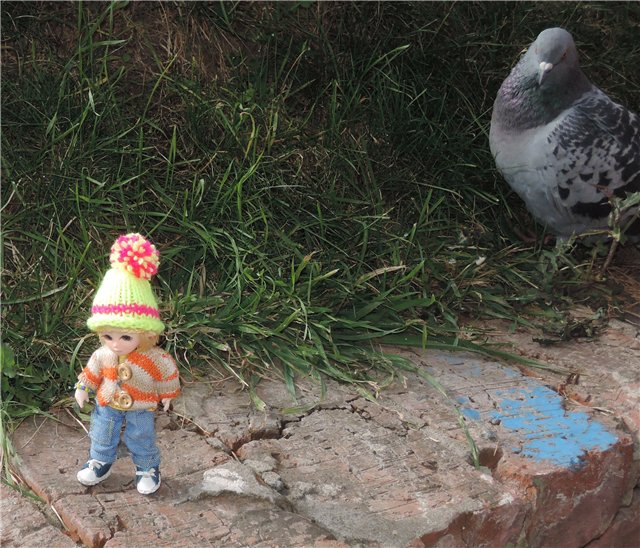 Дилька ищет дом (часть первая)