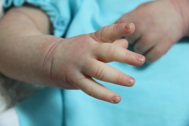 Пышка Пэрис. Куколка реборн Виктории Вишни