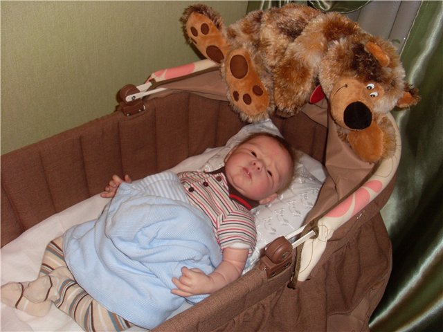 Как на нас напала ...жаба (фото 9)