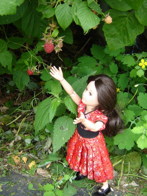 Компромисс: моя первая БЖД: Люси - Senson doll, в гостях на даче