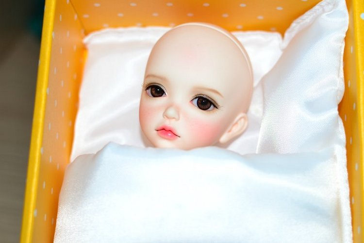 Лонни приехала. BJD Iplehouse | Бэйбики Лонни приехала. BJD Iplehouse (фото 2)