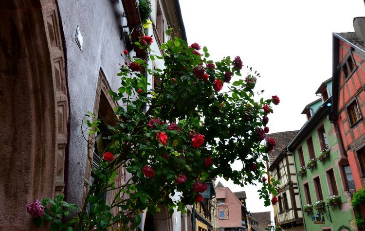 Очарование стринных французских городов