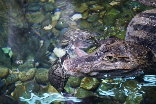 Воронежский океанариум — Туризм и путешествия: фотоотчеты из поездок