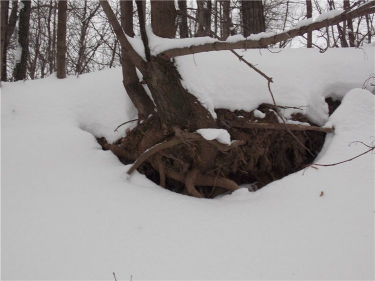 Тропинки Куш - Тау или Варваркины выходные