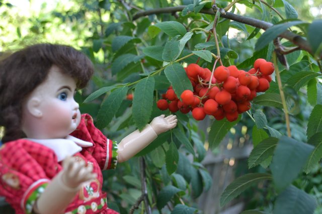 Мое новое увлечение: антикварные куклы (и реплики) (фото 4)