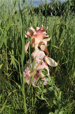 Крошки-на ладошку! Dollzone-Малышня и не только