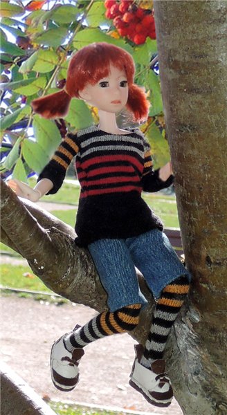 Рябиновый день — Куклы и тела Obitsu (Обитсу): 1/6 (фото 9)