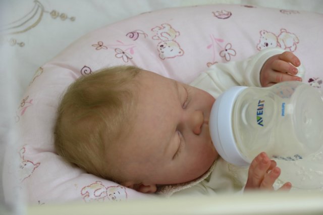 Ноашечка. Куколка реборн Виктории Вишни