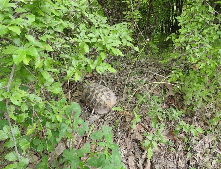 Любителям маленьких кукол