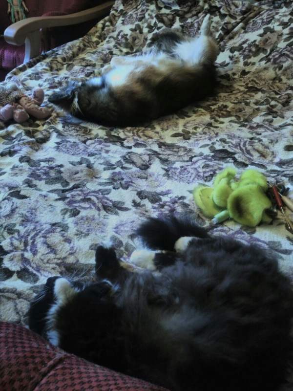 Отчёт за октябрь — Текстильные игрушки и примитивы: кофейные (фото 9)