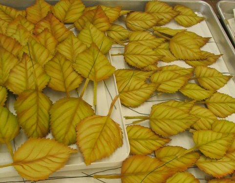 Десерт от R. John Wright — Коллекционные куклы разных авторов (Разное): редкие бренды