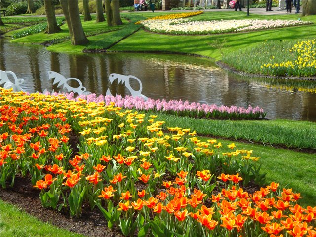 Парк цветов в Кеукенхоф (Keukenhof) в Нидерландах (Голландия) (фото 8)