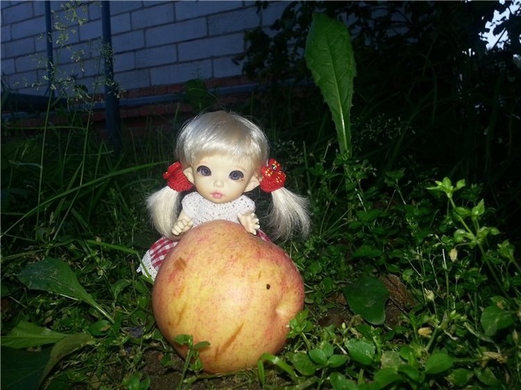 Маленькая дачница Элис. Кукла БЖД Пукифи Анте