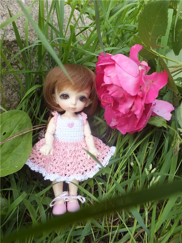 Моя сладкая и очень любимая Зойка.(PukiFee Zoe) (фото 10)